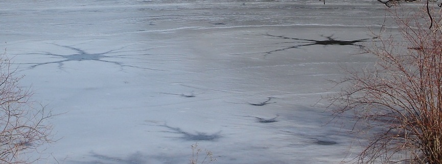 Picture of lake stars